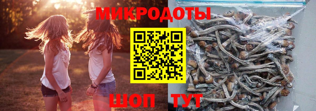 Торжок  Галлюциногенные грибы GOLDEN TEACHER  Галлюциногенные грибы мицелий  Вход с VPN 